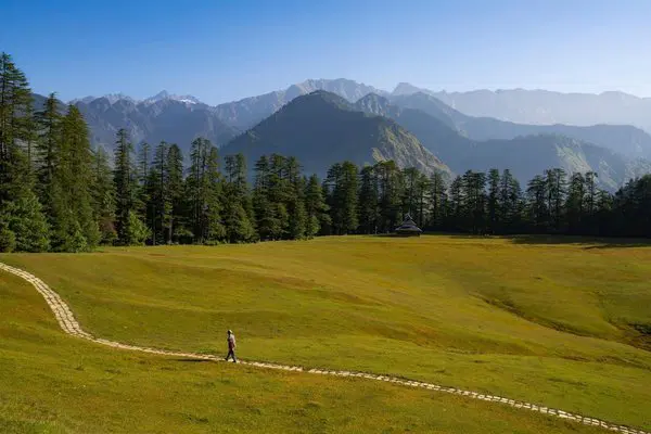 Shangarh meadows